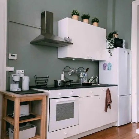 Charming Apartment With Terrace In Lille * Lille
